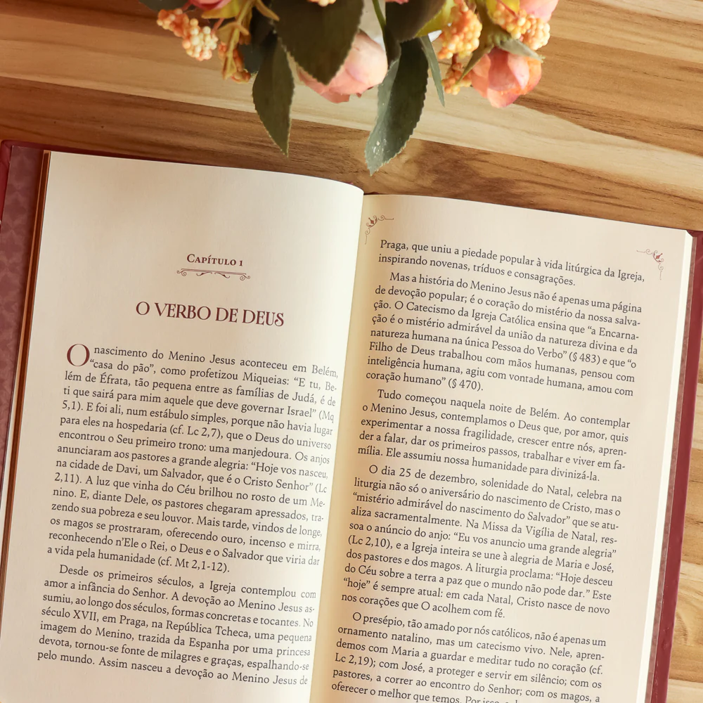 Devocionário ao Menino Jesus - Quanto Mais Me Honrardes Mais Eu Vos Favorecerei - Hesed - Image 11