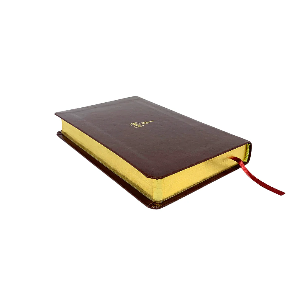 Diário de Santa Faustina - Capa Couro - Image 4