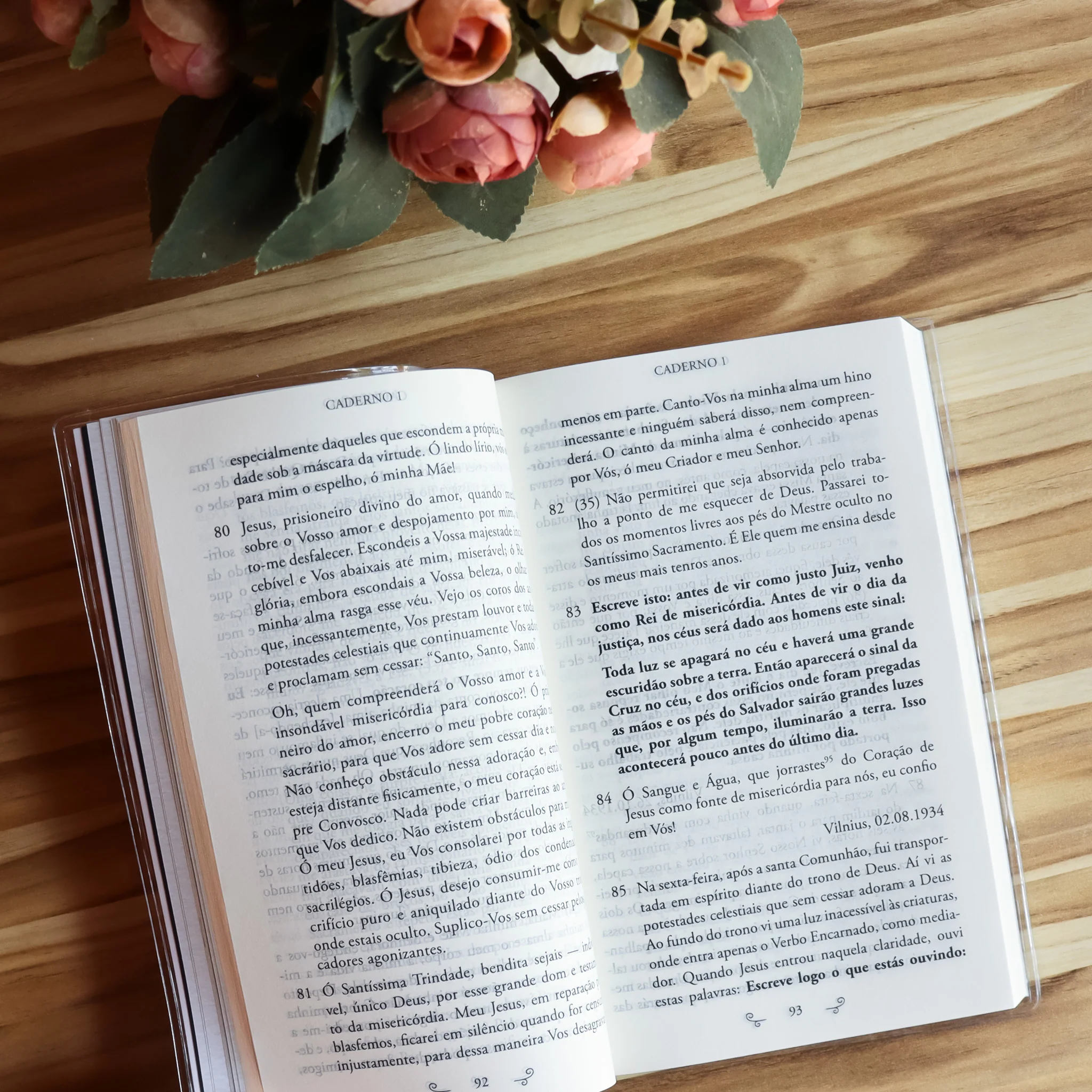 Diário de Santa Faustina (Capa Cristal) - Image 11